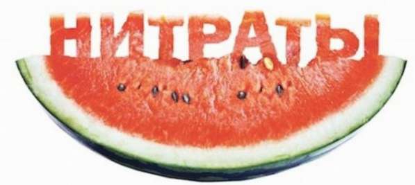 Тесты на нитраты, ртуть, формальдегид и др в фото 7