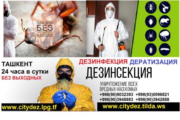 Обработка в Ташкенте от клопов, тараканов, блох, крыс в фото 3