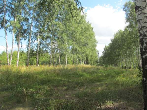 Под коттедж в Рубцово 10 соток в Рязани фото 46