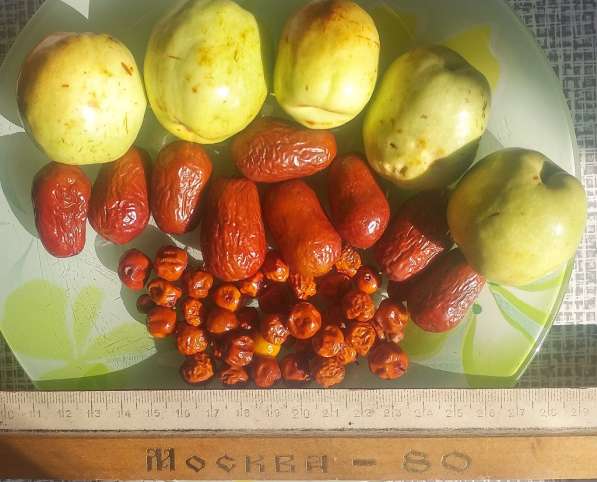 Унаби крупноплодный в Махачкале фото 5