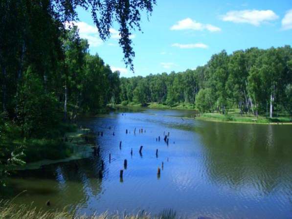 Таунхаус, ш. Каширское в Домодедове фото 4