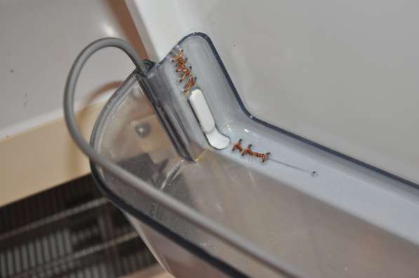 Продам холодильник "Snaige" в Смоленске фото 5