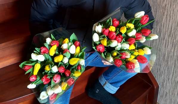 Тюльпаны собственного производства