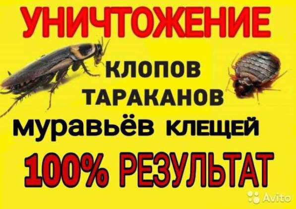 Уничтожения насекомых