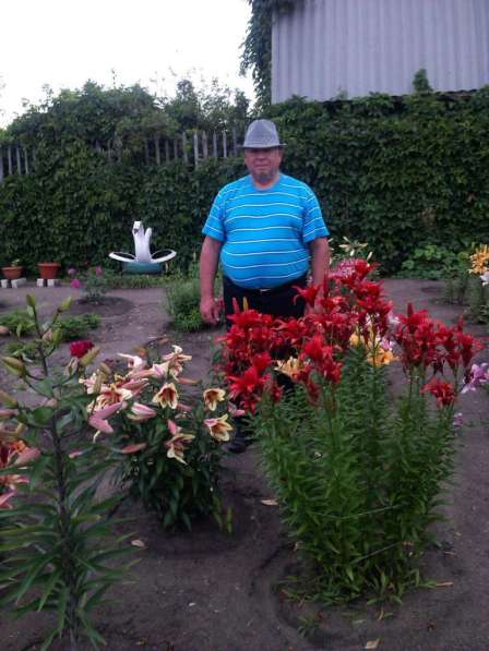 Продаю отличный садовый участок. 5 сот. 10 км. от Челябинска в Челябинске фото 18