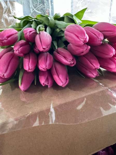 Красивые тюльпаны в Перми фото 5