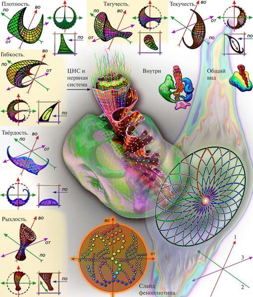 ВЕРОСОФИЯ и ВЕРОЛОГИЯ в Санкт-Петербурге фото 3