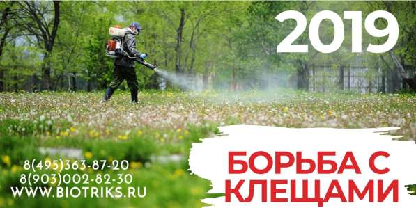 Борьба с Борщевиком Сосновского в Заокском в Ефремове фото 6