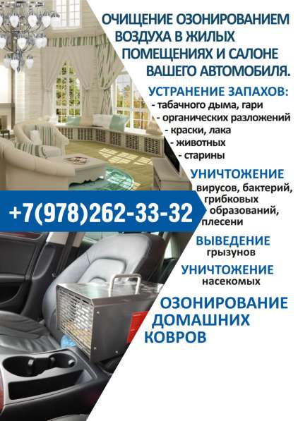 Обработка жилых помещений и авто в Феодосии фото 12