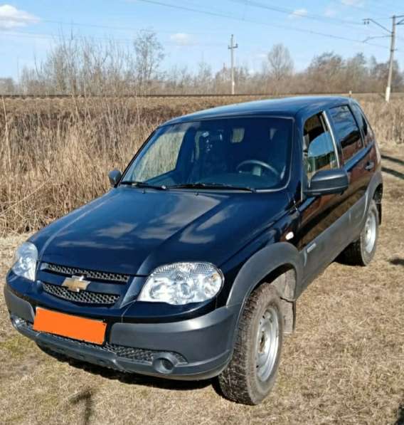 Chevrolet, Niva, продажа в Дмитрове в Дмитрове фото 6