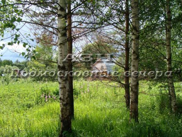 realty_mapper3.plot_in_locationПлощадь 16.00 сот.Есть Электричество, Газ. в Москве фото 6