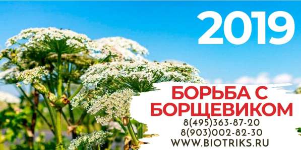 Обработка участков от клещей, борщевика в Истре в Истре фото 6
