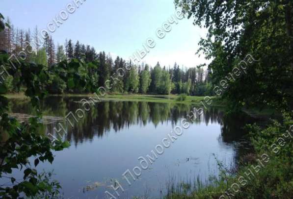 realty_mapper3.plot_in_locationСадовое некоммерческое тов-во. Площадь 18.00 сот.Есть Газ. в Москве фото 21