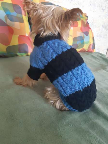 Вязанный свитерок для собачки в фото 3