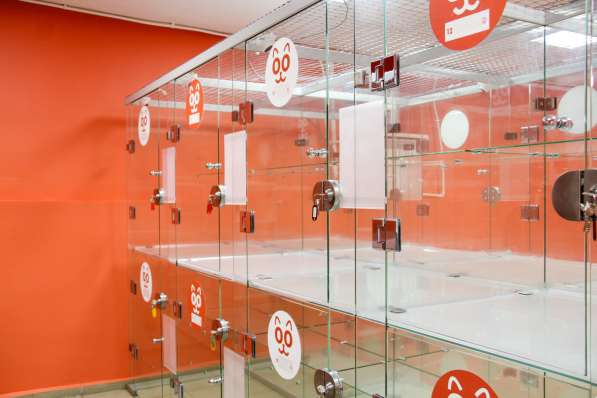 Зоогостиница BookingCat Люберцы/Жулебино в Люберцы фото 42