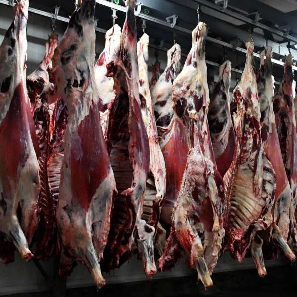 Говядина, свинина, мясо ЦБ, отгрузка в регионы в Протвино