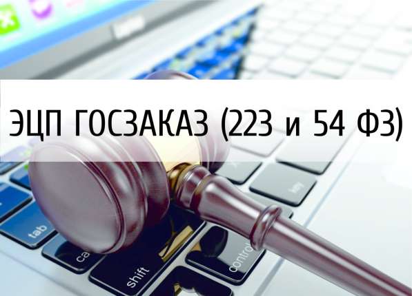 ЭЦП за час. Электронная подпись для Госзаказа в Костроме фото 4