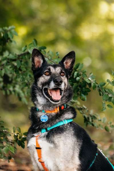 Монти ждёт своего человека в Москве фото 3