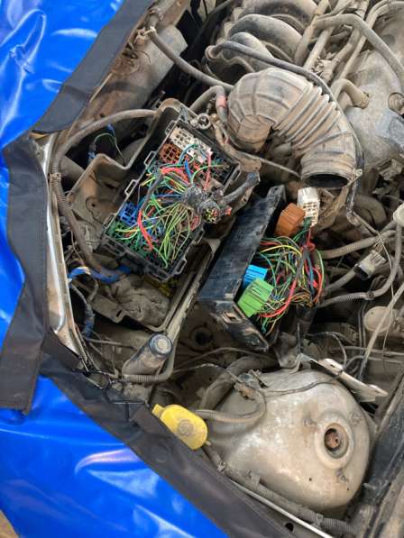 Автоэлектрик