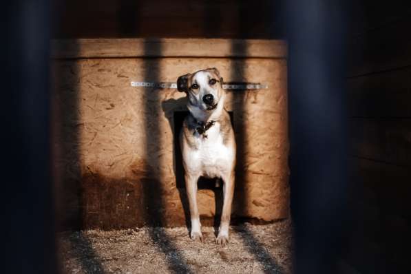 Молодой энергичный Майор ищет семью в Москве фото 28