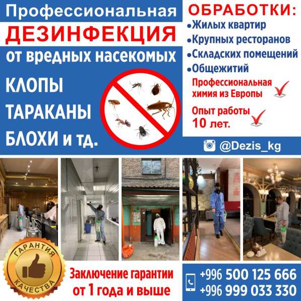 Профессиональная дезинфекция в фото 7