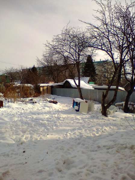 Продам хороший сад в Любителе-3 в Челябинске фото 3