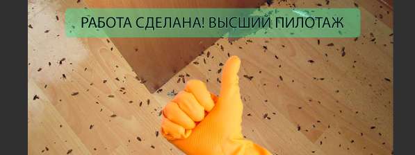 Уничтожение тараканов, клопов, клещей, блох, ос! в Москве