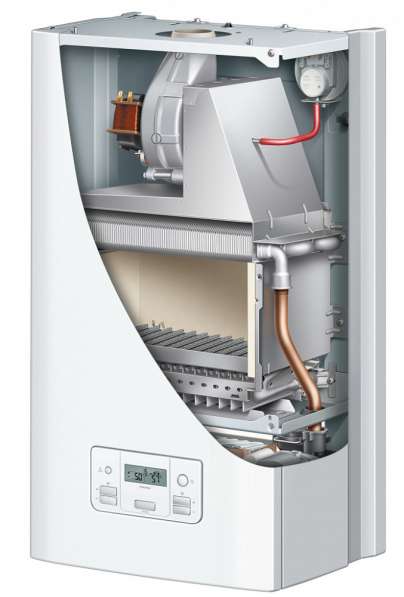 Настенные газовые котлы Protherm Пантера в Саратове фото 10
