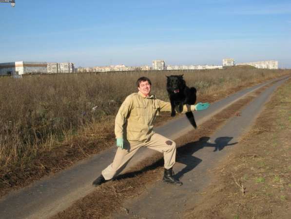 Дрессировка собак в Одессе (район Северного рынка и ТЦ СИТИ