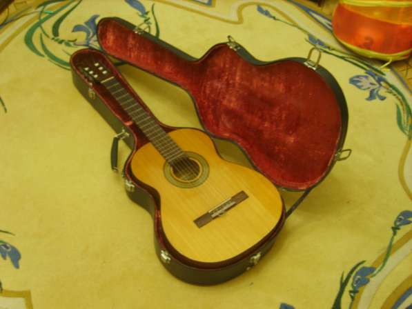 Акустическая гитара с футляром