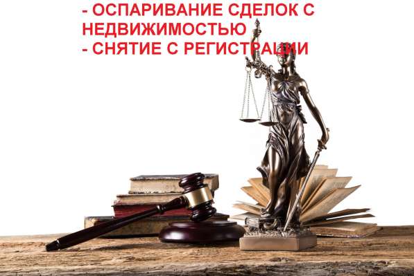 Юридические услуги Раздел имущества Алименты Наследство др в Санкт-Петербурге фото 8