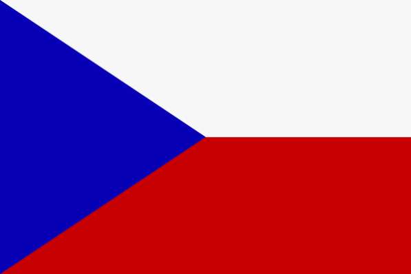 Работа в Польше и Чехии