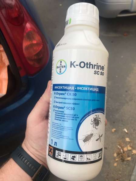 Уничтожение насекомых тараканы/клопы/осы/крысы/мыши/кроты в Москве фото 8