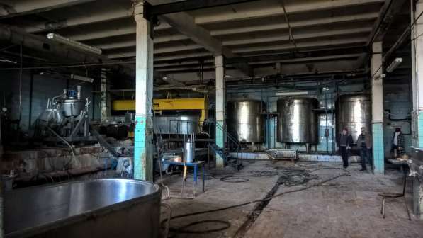 Комплекс зданий молочного завода на участке 1,6 Га. земли в Пскове фото 8