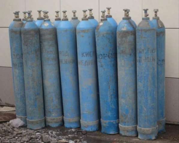 Скупка болонов дорого