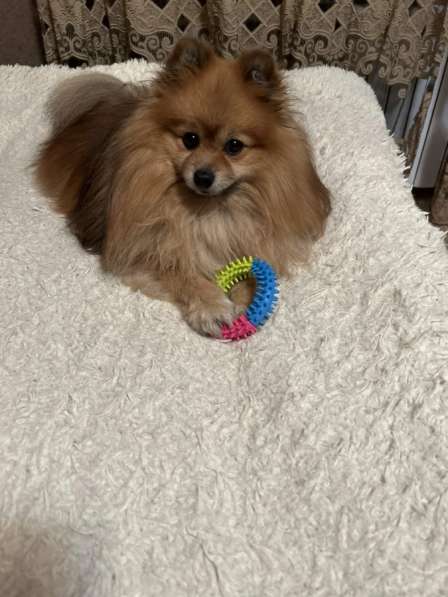 Услуга в Курске