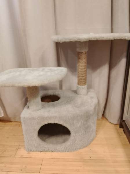 Дом для кота в Санкт-Петербурге