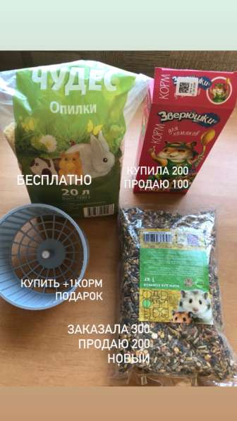 Хомяк сирийский в Москве