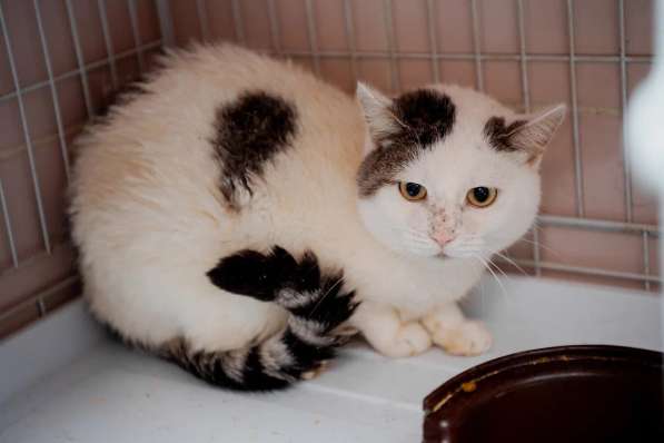 Ищет Дом в Вологде фото 6