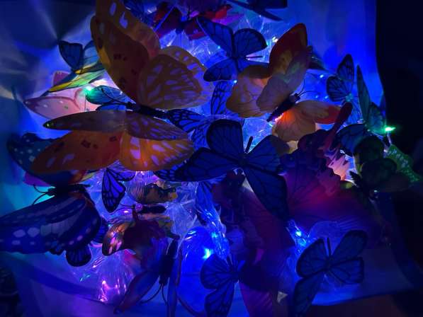 Готовый светящийся букет бабочки с подсветкой в Москве