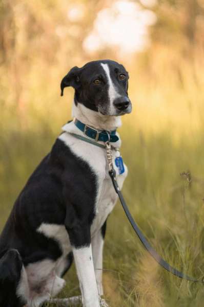 Тихон нуждается в новой истории! в Москве фото 7