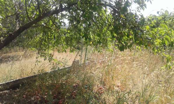 Срочно Продам дом (дача) в фото 5