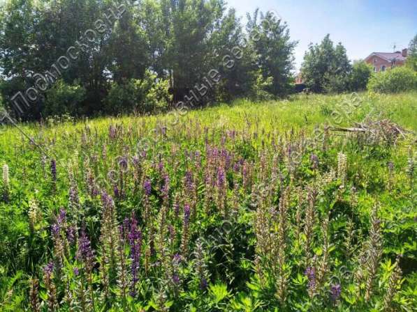 realty_mapper3.plot_in_locationИндивидуальное жилищное ст-во. Есть Электричество, Газ. в Москве фото 25