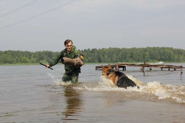 Дрессировка собак в Москве и Московской области в Москве фото 10