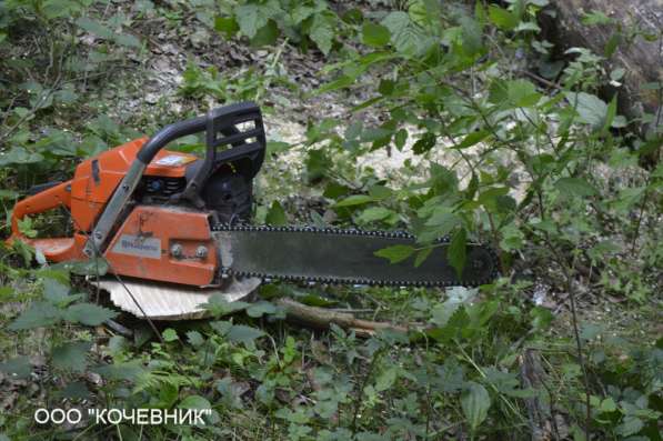 удаление опасных аварийных деревьев -кронирование в Москве