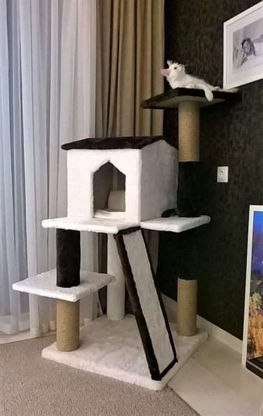 Домик для кошки, когтеточка, комплекс в Санкт-Петербурге фото 5