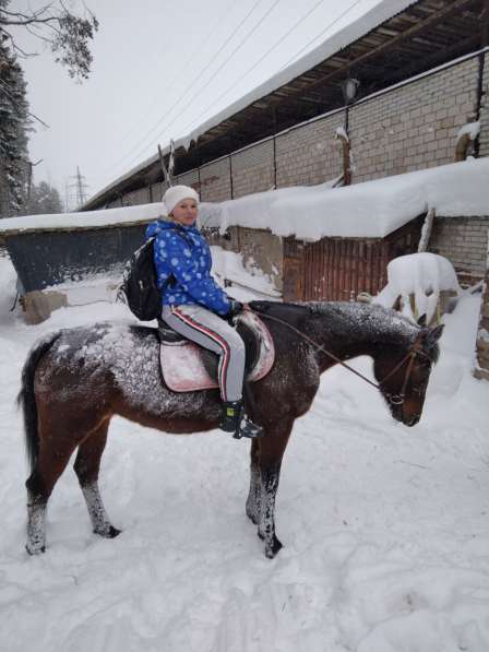Таркеновские лошади продаются в Ижевске фото 5