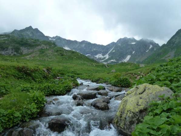 Продам дом в Абхазии с большим садом в 