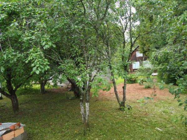 Дача в Ногинске фото 3