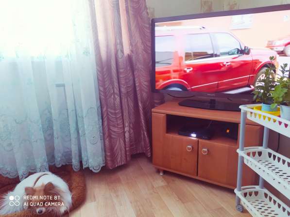 Меняем двушку на две отдельные квартиры в Узловой фото 15